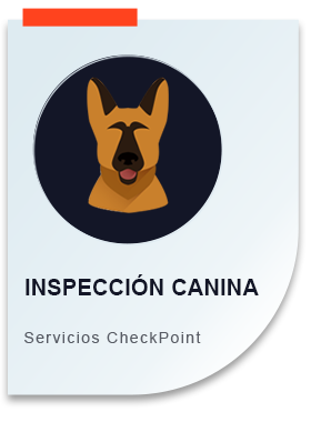 check-point-inicio-6-servicios
