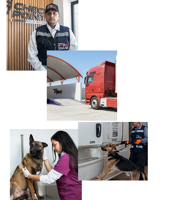 check-point-inspeccion-k9-17-img-txt